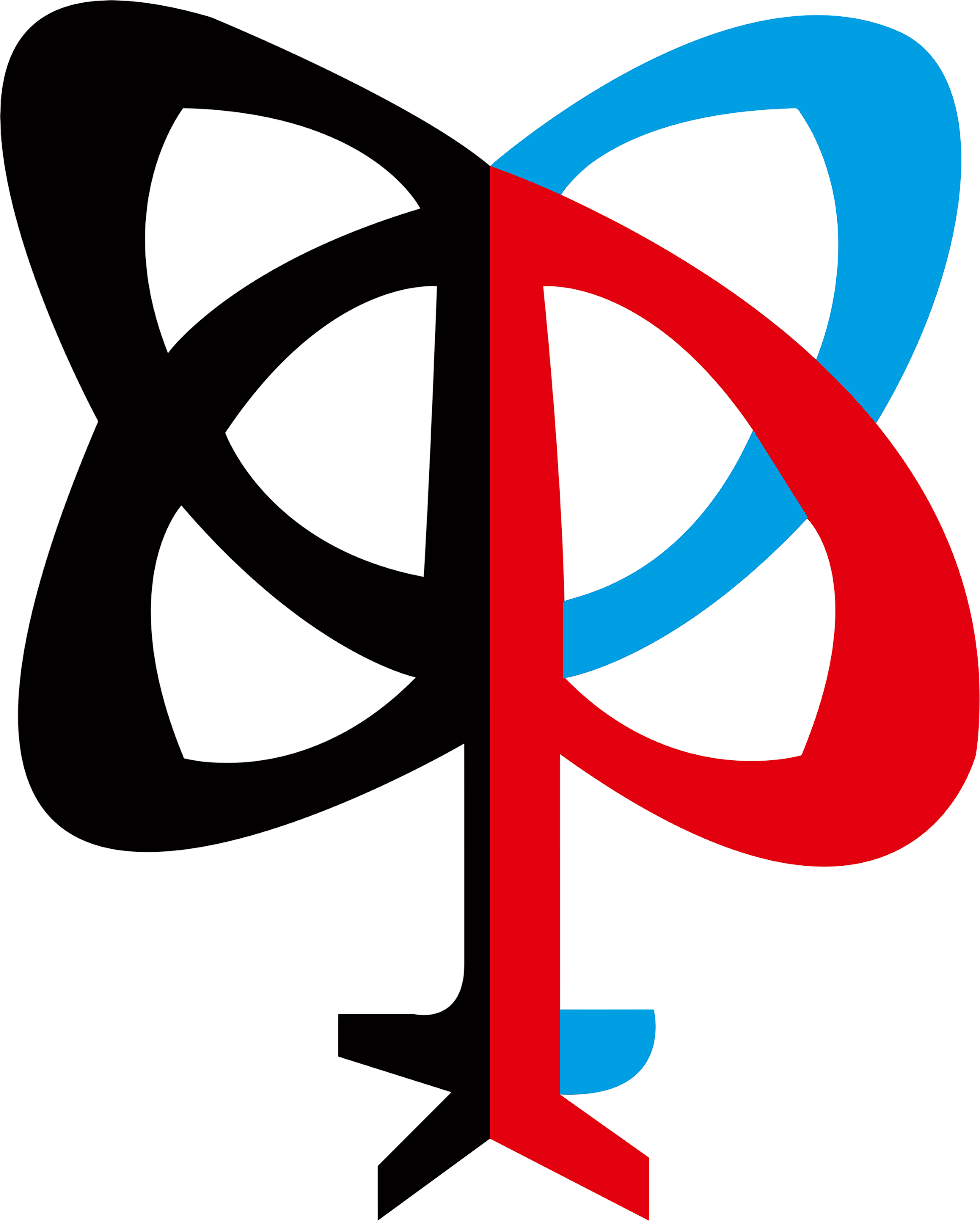 Pathri Builders Logo